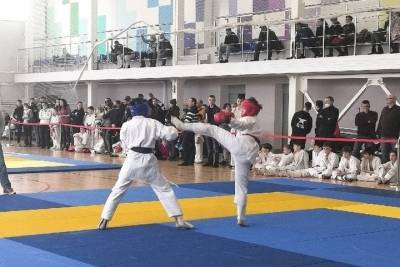 Около 150 спортсменов стали участниками турнира по рукопашному бою в Пскове - mk-pskov.ru - Псковская обл. - окр.Сзфо - Псков
