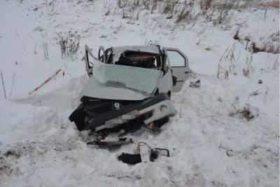 Из-за снежного заноса на трассе в Башкирии погиб водитель иномарки - ufa.mk.ru - Башкирия - Уфа - Пермский край