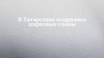 В Татарстане подрались цирковые слоны - chelny-izvest.ru - респ. Татарстан