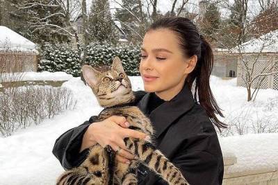Елена Темникова - Дикий кот Елены Темниковой подорвал ее здоровье - skuke.net
