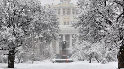 Мария Базарева - Метель с сильным ветром продлится в Москве до утра понедельника - nation-news.ru - Москва