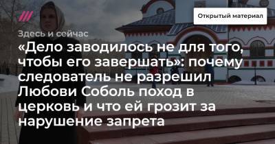 Любовь Соболь - Владимир Воронин - «Дело заводилось не для того, чтобы его завершать»: почему следователь не разрешил Любови Соболь поход в церковь и что ей грозит за нарушение запрета - tvrain.ru