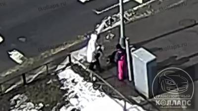 Появилось видео того, как светофор в Петербурге убил собаку током - piter.tv - Санкт-Петербург