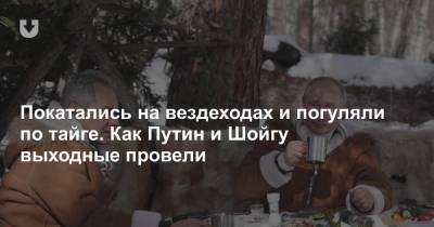 Владимир Путин - Джозеф Байден - Покатались на вездеходах и погуляли по тайге. Как Путин и Шойгу выходные провели - news.tut.by