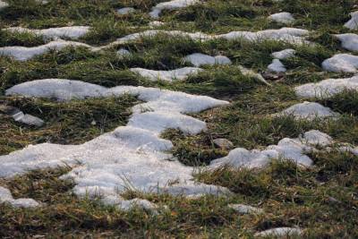 Евгений Тишковец - В Москву 24 марта придет потепление - mk.ru - Москва