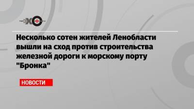 Владимир Путин - Несколько сотен жителей Ленобласти вышли на сход против строительства железной дороги к морскому порту «Бронка» - echo.msk.ru - Ленинградская обл. - Санкт-Петербург - район Ломоносовский