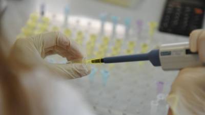 Названы причины повышенной заразности новых штаммов COVID-19 - polit.info
