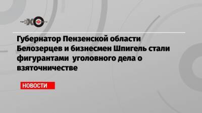 Иван Белозерцев - Борис Шпигель - Губернатор Пензенской области Белозерцев и бизнесмен Шпигель стали фигурантами уголовного дела о взяточничестве - echo.msk.ru - Пензенская обл.