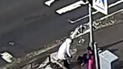 Собака погибла у светофора в Петербурге от удара током - nation-news.ru - Санкт-Петербург