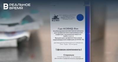 Максим Платонов - Петер Сийярто - Глава МИД Венгрии сообщил о нападках на страну из-за закупки «Спутника V» - realnoevremya.ru - Венгрия