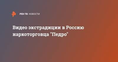 Видео экстрадиции в Россию наркоторговца "Педро" - ren.tv - Россия - Санкт-Петербург - Испания - Эквадор