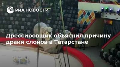 Дрессировщик объяснил причину драки слонов в Татарстане - ria.ru - Москва - респ. Татарстан - Казань
