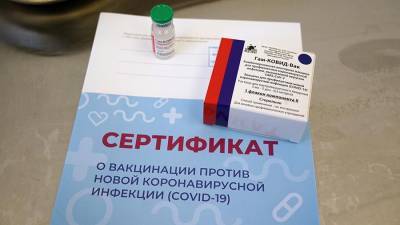 Сергей Лавров - Лавров оценил идею введения COVID-паспортов для пересечения границ - iz.ru