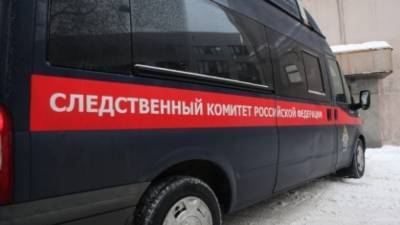 Александр Бастрыкин - СК РФ решил объединить в одно уголовное дело все зверства нацистов - politros.com - Ростовская обл. - Псковская обл. - Новгородская обл. - Ейск