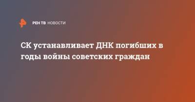 Александр Бастрыкин - СК устанавливает ДНК погибших в годы войны советских граждан - ren.tv