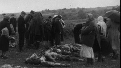 Александр Бастрыкин - Концлагерь "Красный" станет частью дела о геноциде народов СССР - crimea.ria.ru - Крым - Симферополь - Псковская обл. - Новгородская обл. - Ейск