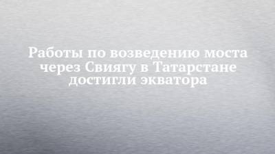 Работы по возведению моста через Свиягу в Татарстане достигли экватора - chelny-izvest.ru - респ. Татарстан