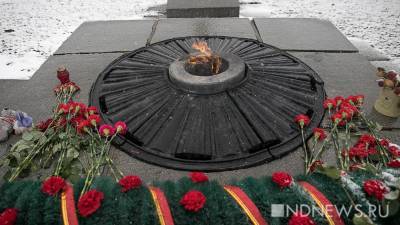 В Петербурге ищут подростков, потушивших Вечный огонь - newdaynews.ru - Санкт-Петербург - Самарская обл. - Тольятти