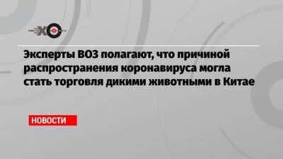 Эксперты ВОЗ полагают, что причиной распространения коронавируса могла стать торговля дикими животными в Китае - echo.msk.ru - Ухань