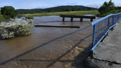 В Приморском крае рассказали о подъёме уровня воды в реках - russian.rt.com - Приморье край