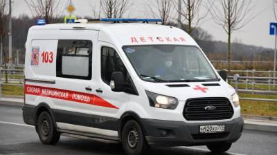 Собаки удушили ребенка шарфом во время игры в Подмосковье - m24.ru - Московская обл.