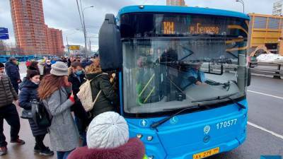 Автобусы КМ перевезли 66 тыс пассажиров в районе закрытого участка Калужско-Рижской линии - m24.ru