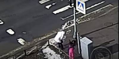 В Петербурге после удара током от светофора погибла собака - runews24.ru - Санкт-Петербург