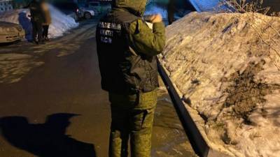 Продолжается проверка по факту гибели двух детей в пожаре в Саратове - vesti.ru - Саратов