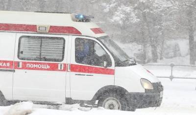 Татьяна Петрова - Полицейский убил угрожавшего ему штыковой лопатой пациента скорой помощи - newizv.ru