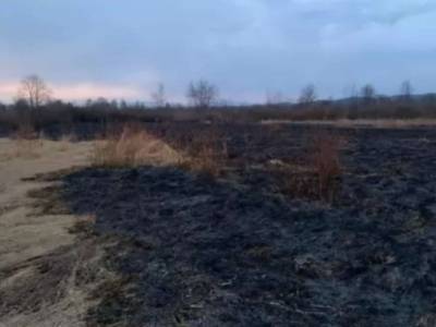 На Закарпатье сгорела знаменитая Долина нарциссов (ФОТО) - lenta.ua - Закарпатская обл. - Гсчс