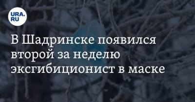 В Шадринске появился второй за неделю эксгибиционист в маске - ura.news - Курганская обл. - Шадринск