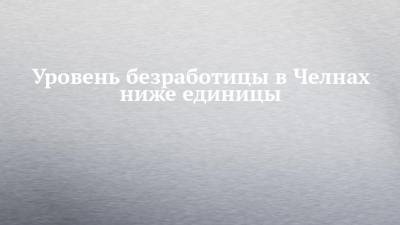 Наиль Магдеев - Уровень безработицы в Челнах ниже единицы - chelny-izvest.ru