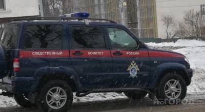 В Чувашии 22-летний парень подкараулил отца и убил в собственном доме - pg21.ru - респ. Чувашия - район Комсомольский