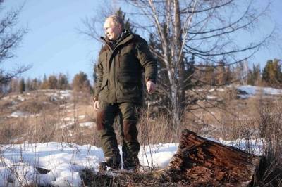 Сергей Шойгу - Владимир Путин - Дмитрий Песков - Песков рассказал, брал ли Путин на отдых в тайге «ядерный чемоданчик» - aif.ru