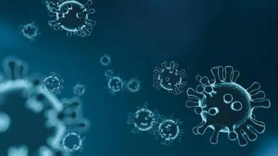Александр Гинцбург - Гинцбург заявил об отсутствии антител у 20% переболевших коронавирусом - delovoe.tv - Россия - Сербия