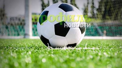 Ивица Олич - СМИ: ЦСКА назначит новым тренером хорвата Олича - profile.ru - Хорватия - Загреб