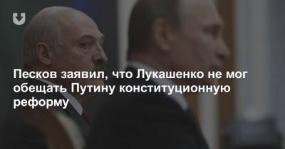 Песков заявил, что Лукашенко не мог обещать Путину конституционную реформу - news.tut.by