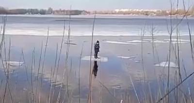 В Киеве ребенок попал в беду, оказавшись посреди реки: "лед под ним начал трещать и..." - politeka.net - Киев