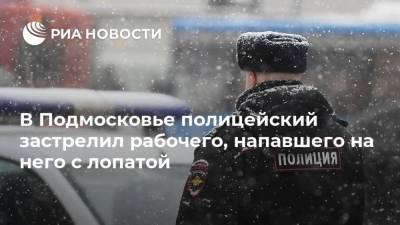 Ольга Врадий - Татьяна Петрова - В Подмосковье полицейский застрелил рабочего, напавшего на него с лопатой - ria.ru - Москва - Россия - Московская обл.
