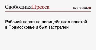 Рабочий напал на полицейских с лопатой в Подмосковье и был застрелен - svpressa.ru - Московская обл.