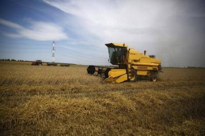 Экспортные цены на пшеницу РФ продолжили снижение при сократившемся спросе и вслед за мировыми рынками - smartmoney.one - Москва - Париж - Новороссийск - Omsk - Reuters
