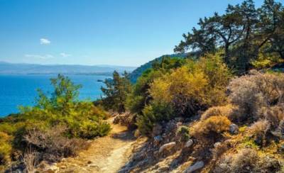 Акамас - яблоко раздора - vkcyprus.com - Кипр