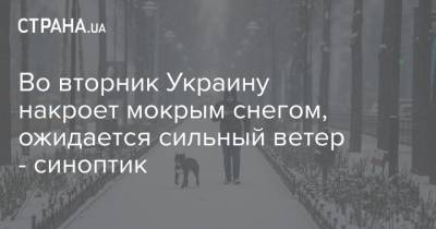 Наталья Диденко - Во вторник Украину накроет мокрым снегом, ожидается сильный ветер - синоптик - strana.ua