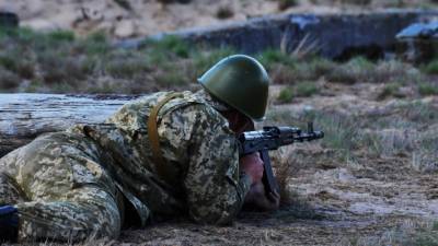 Татьяна Монтян - Монтян объяснила, почему ВСУ резко снизили свою активность в Донбассе - polit.info - Украина - Киев - Донбасс