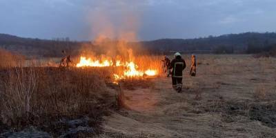 На Закарпатье горела Долина нарциссов – подозревают поджог, фото - ТЕЛЕГРАФ - telegraf.com.ua - Закарпатская обл.