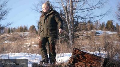 Сергей Шойгу - Владимир Путин - Антон Бредихин - Мечтают о таком президенте: поездка Путина в Сибирь тронула иностранцев до глубины души - nation-news.ru