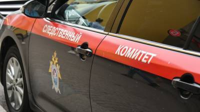 В Подмосковье завели дело после гибели ребенка во время игры с собаками - m24.ru - Московская обл.