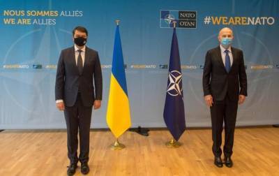 Дмитрий Разумков - Мирча Джоанэ - Разумков заявил, что Украина ждет план по членству в НАТО - real-vin.com - Киев