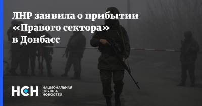 Яков Осадчий - ЛНР заявила о прибытии «Правого сектора» в Донбасс - nsn.fm - Украина - Киев - ДНР - ЛНР