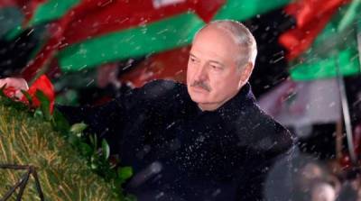 Александр Лукашенко - Дирк Шубель - Джули Фишер - Светлана Тихановская - США и ЕС хотят сместить Лукашенко и призвали к срочным новым выборам - newzfeed.ru - Вашингтон - Вильнюс - Минск - Брюссель